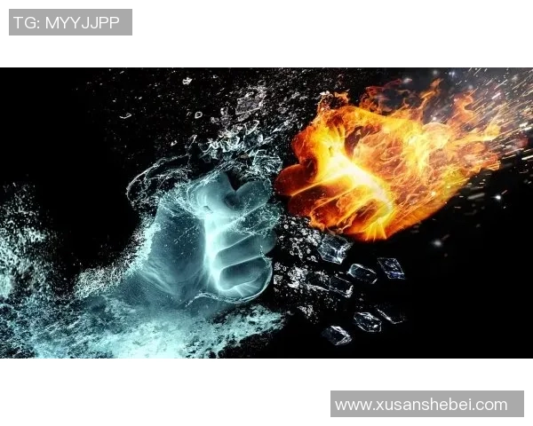 白帽黑客与伐木者的较量：技术与自然的对抗与和谐之路