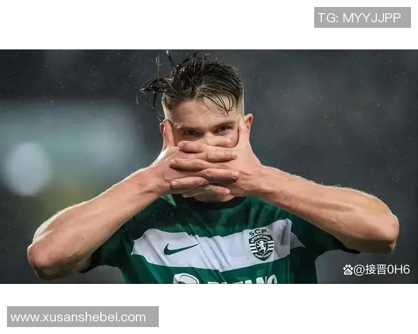 全球最受欢迎的女足球明星们的精彩人生与成就揭秘