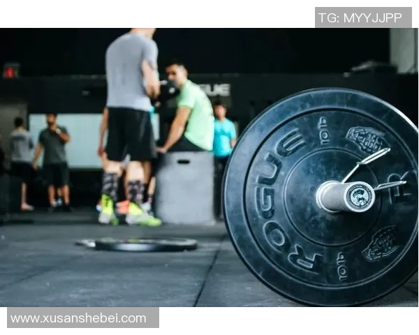 在家使用哑铃高效锻炼胸肌的全面指南与技巧分享
