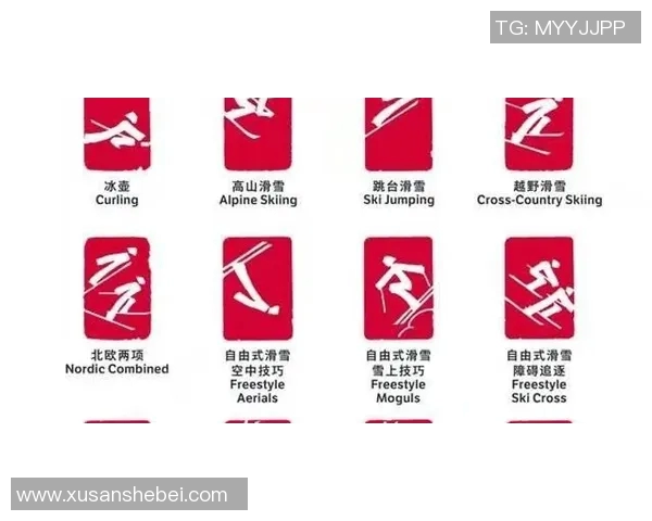 探索中国体育品牌标志的多样性与文化内涵全景解析